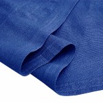 vidaXL Covor pentru cort, albastru, 250x400 cm vidaXL Covor pentru cort, albastru, 250x400 cm