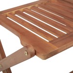 vidaXL Scaune pliabile de exterior, 2 buc., lemn masiv de acacia vidaXL Scaune pliabile de exterior, 2 buc., lemn masiv de acacia