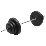 vidaXL Set halteră cu discuri de greutăți, 60 kg