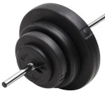 vidaXL Set halteră cu discuri de greutăți, 60 kg