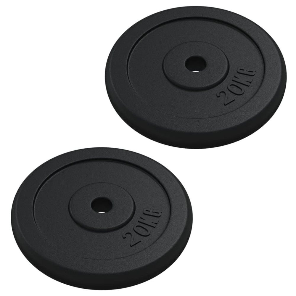 vidaXL Disc de greutate, 40 kg, fontă
