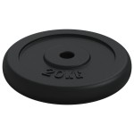 vidaXL Disc de greutate, 40 kg, fontă vidaXL Disc de greutate, 40 kg, fontă