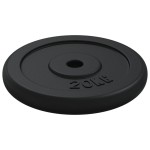 vidaXL Disc de greutate, 40 kg, fontă vidaXL Disc de greutate, 40 kg, fontă