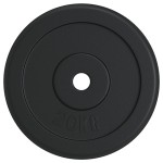 vidaXL Disc de greutate, 40 kg, fontă vidaXL Disc de greutate, 40 kg, fontă
