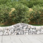 vidaXL Coșuri gabion arcuite 14 buc, 200x30x40/60 cm, fier galvanizat vidaXL Coșuri gabion arcuite 14 buc, 200x30x40/60 cm, fier galvanizat