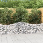 vidaXL Coșuri gabion arcuite 20 buc, 200x30x60/80 cm, fier galvanizat vidaXL Coșuri gabion arcuite 20 buc, 200x30x60/80 cm, fier galvanizat