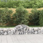 vidaXL Coșuri gabion arcuite 10 buc, 200x50x40/60 cm, fier galvanizat vidaXL Coșuri gabion arcuite 10 buc, 200x50x40/60 cm, fier galvanizat