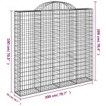vidaXL Coșuri gabion arcuite 11 buc, 200x50x180/200cm, fier galvanizat vidaXL Coșuri gabion arcuite 11 buc, 200x50x180/200cm, fier galvanizat