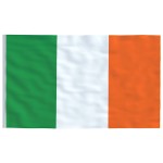 vidaXL Steag Irlanda și stâlp din aluminiu, 5,55 m vidaXL Steag Irlanda și stâlp din aluminiu, 5,55 m