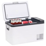 vidaXL Cutie frigorifică cu mâner și adaptor negru&alb 25 L PP și PE vidaXL Cutie frigorifică cu mâner și adaptor negru&alb 25 L PP și PE