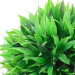 vidaXL Bile arbuști cimișir artificial, 2 buc., 30 cm vidaXL Bile arbuști cimișir artificial, 2 buc., 30 cm