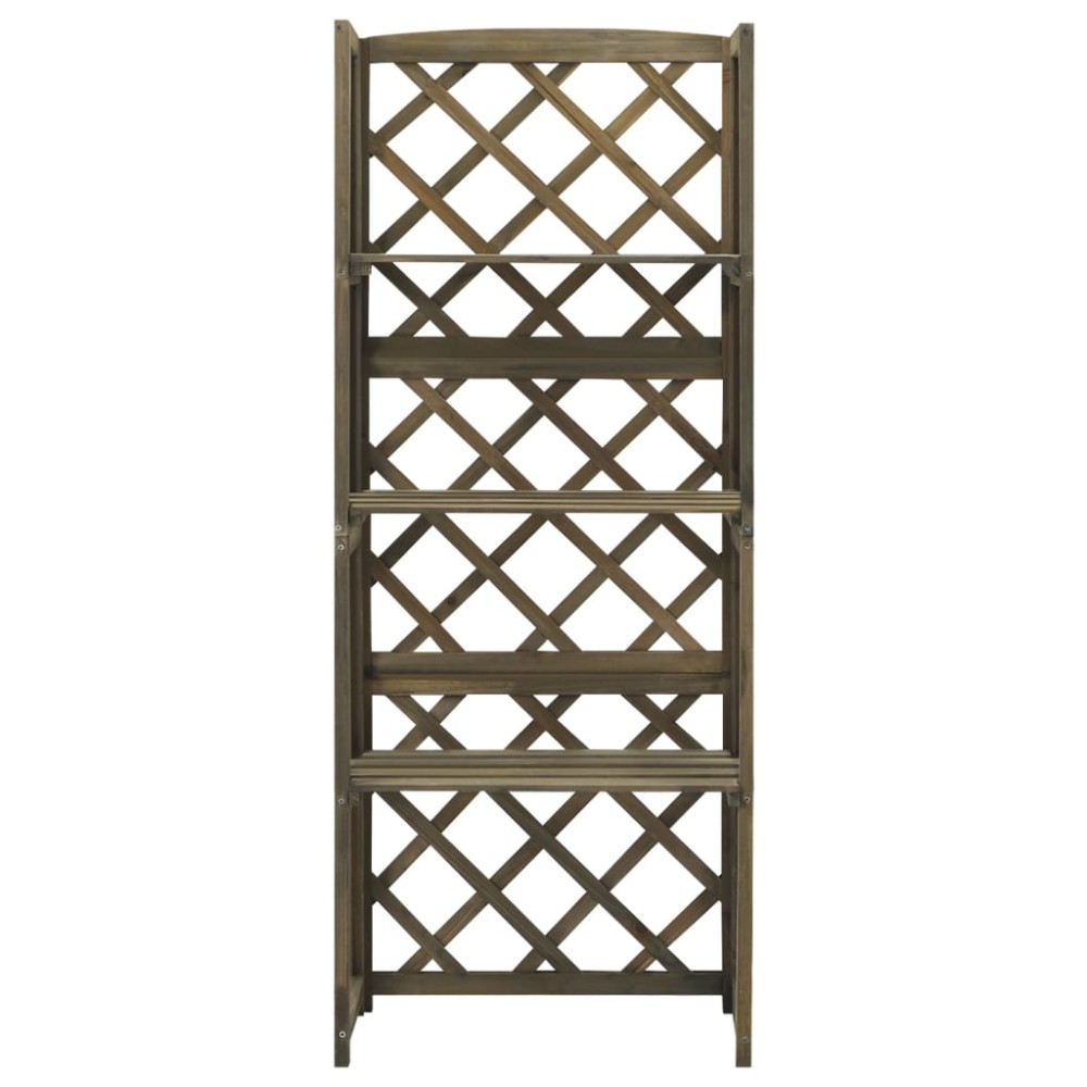 vidaXL Spalier cu rafturi, gri, 55x30x140 cm, lemn masiv brad