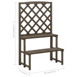 vidaXL Suport plante cu spalier, gri, 70x42x115 cm, lemn masiv de brad vidaXL Suport plante cu spalier, gri, 70x42x115 cm, lemn masiv de brad