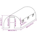 vidaXL Copertină rezervă pentru seră (13,5 m²) transparent 3x4,5x2 m vidaXL Copertină rezervă pentru seră (13,5 m²) transparent 3x4,5x2 m