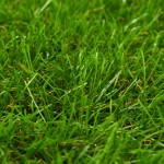 vidaXL Gazon artificial, verde, 1x5 m/30 mm vidaXL Gazon artificial, verde, 1x5 m/30 mm
