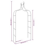 vidaXL Arcade de grădină, 2 buc, negru, 120x38x260 cm, oțel vidaXL Arcade de grădină, 2 buc, negru, 120x38x260 cm, oțel