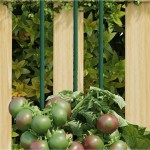 vidaXL Țăruși pentru plante de grădină, 20 buc., negru, 61 cm, oțel vidaXL Țăruși pentru plante de grădină, 20 buc., negru, 61 cm, oțel