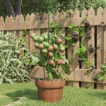 vidaXL Suport plante de grădină cu 3 inele, 5 buc, verde, 45 cm, oțel vidaXL Suport plante de grădină cu 3 inele, 5 buc, verde, 45 cm, oțel