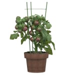 vidaXL Suport plante de grădină cu 3 inele, 5 buc, verde, 45 cm, oțel vidaXL Suport plante de grădină cu 3 inele, 5 buc, verde, 45 cm, oțel