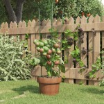 vidaXL Suport plante de grădină cu 3 inele, 5 buc, verde, 60 cm, oțel vidaXL Suport plante de grădină cu 3 inele, 5 buc, verde, 60 cm, oțel