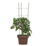 vidaXL Suport plante de grădină cu 3 inele, 5 buc, verde, 60 cm, oțel vidaXL Suport plante de grădină cu 3 inele, 5 buc, verde, 60 cm, oțel