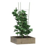 vidaXL Suport plante de grădină cu 4 inele, 5 buc, verde, 45 cm, oțel vidaXL Suport plante de grădină cu 4 inele, 5 buc, verde, 45 cm, oțel