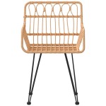 vidaXL Scaune de grădină cu cotiere, 2 buc., 56x64x80 cm, ratan PE vidaXL Scaune de grădină cu cotiere, 2 buc., 56x64x80 cm, ratan PE