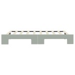 vidaXL Pat de zi cu extensie, gri deschis, 90x190 cm, catifea vidaXL Pat de zi cu extensie, gri deschis, 90x190 cm, catifea