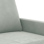 vidaXL Set de canapele cu perne, 2 piese, gri deschis, catifea vidaXL Set de canapele cu perne, 2 piese, gri deschis, catifea