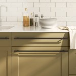vidaXL Mânere de dulap, 10 buc., negru, 480 mm, oțel inoxidabil vidaXL Mânere de dulap, 10 buc., negru, 480 mm, oțel inoxidabil