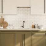 vidaXL Mânere de dulap, 10 buc., negru, 480 mm, oțel inoxidabil vidaXL Mânere de dulap, 10 buc., negru, 480 mm, oțel inoxidabil
