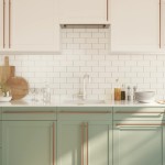 vidaXL Mânere de dulap, 10 buc., bronz, 480 mm, oțel inoxidabil