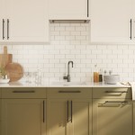 vidaXL Mânere de dulap, 20 buc., negru, 224 mm, oțel inoxidabil vidaXL Mânere de dulap, 20 buc., negru, 224 mm, oțel inoxidabil