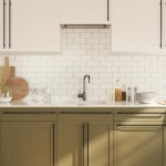 vidaXL Mânere de dulap, 10 buc., negru, 480 mm, oțel inoxidabil vidaXL Mânere de dulap, 10 buc., negru, 480 mm, oțel inoxidabil