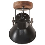 vidaXL Lămpi de perete/tavan industrială, 2 buc., negru, 20x25 cm, E27 vidaXL Lămpi de perete/tavan industrială, 2 buc., negru, 20x25 cm, E27