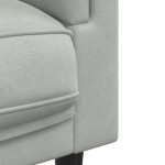 vidaXL Set canapea cu perne, 2 piese, gri deschis, catifea