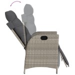 vidaXL Set mobilier grădină cu perne, 9 piese, gri deschis, poliratan