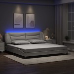 vidaXL Cadru de pat cu lumini LED, alb, 200x200 cm, piele ecologică vidaXL Cadru de pat cu lumini LED, alb, 200x200 cm, piele ecologică
