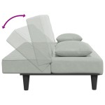 vidaXL Set canapea cu perne, 2 piese, gri deschis, catifea