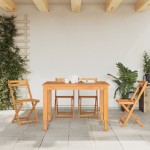 vidaXL Scaune de bistro pliabile, 4 buc., lemn masiv de acacia vidaXL Scaune de bistro pliabile, 4 buc., lemn masiv de acacia