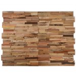 vidaXL Panouri de placare pereți, 10 buc., 1,03 m², lemn tec reciclat vidaXL Panouri de placare pereți, 10 buc., 1,03 m², lemn tec reciclat