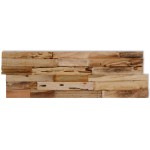 vidaXL Panouri de placare pereți, 10 buc., 1,03 m², lemn tec reciclat vidaXL Panouri de placare pereți, 10 buc., 1,03 m², lemn tec reciclat