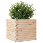 vidaXL Jardinieră de grădină, 50x50x46 cm, lemn masiv de pin vidaXL Jardinieră de grădină, 50x50x46 cm, lemn masiv de pin