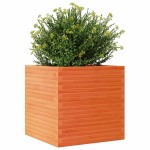 vidaXL Jardinieră grădină, maro ceruit, 70x70x68,5 cm, lemn masiv pin vidaXL Jardinieră grădină, maro ceruit, 70x70x68,5 cm, lemn masiv pin