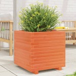 vidaXL Jardinieră grădină, maro ceruit, 50x50x49,5 cm, lemn masiv pin vidaXL Jardinieră grădină, maro ceruit, 50x50x49,5 cm, lemn masiv pin