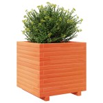 vidaXL Jardinieră grădină, maro ceruit, 50x50x49,5 cm, lemn masiv pin vidaXL Jardinieră grădină, maro ceruit, 50x50x49,5 cm, lemn masiv pin