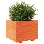 vidaXL Jardinieră grădină, maro ceruit, 60x60x49,5 cm, lemn masiv pin vidaXL Jardinieră grădină, maro ceruit, 60x60x49,5 cm, lemn masiv pin