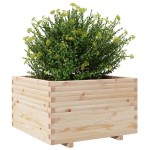 vidaXL Jardinieră de grădină, 80x80x49,5 cm, lemn masiv de pin