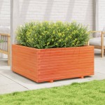 vidaXL Jardinieră grădină maro ceruit, 100x100x49,5 cm, lemn masiv pin vidaXL Jardinieră grădină maro ceruit, 100x100x49,5 cm, lemn masiv pin