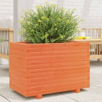 vidaXL Jardinieră grădină, maro ceruit, 70x40x49,5 cm, lemn masiv pin vidaXL Jardinieră grădină, maro ceruit, 70x40x49,5 cm, lemn masiv pin